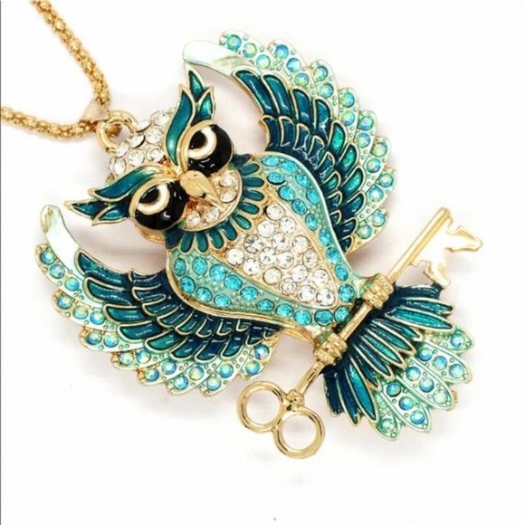 Jewelry - Blue Owl Key Necklace